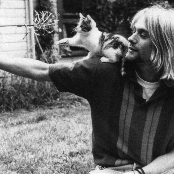 Meet your Posher, Natalie - Picture 1 of 1